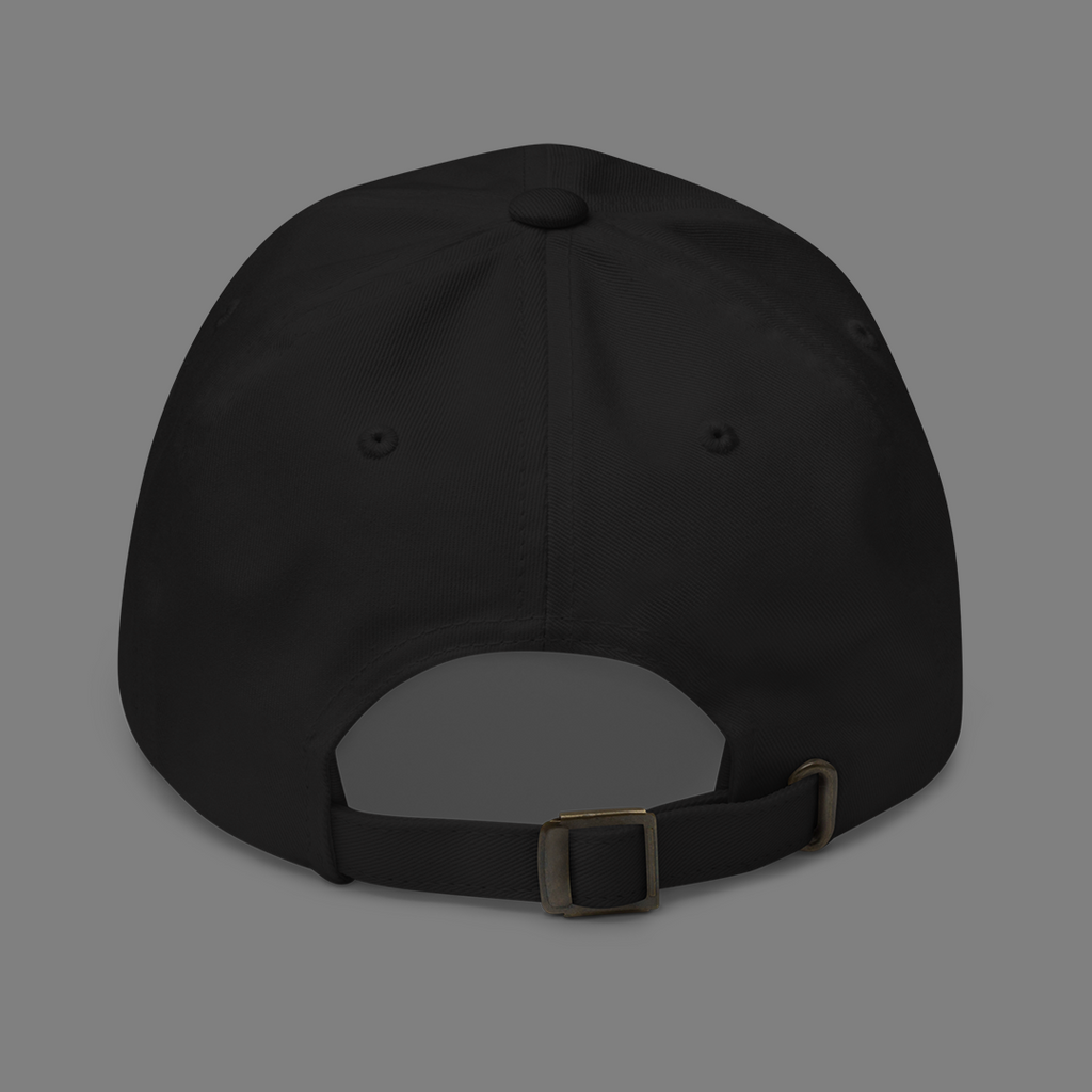 amebe Dad Hat