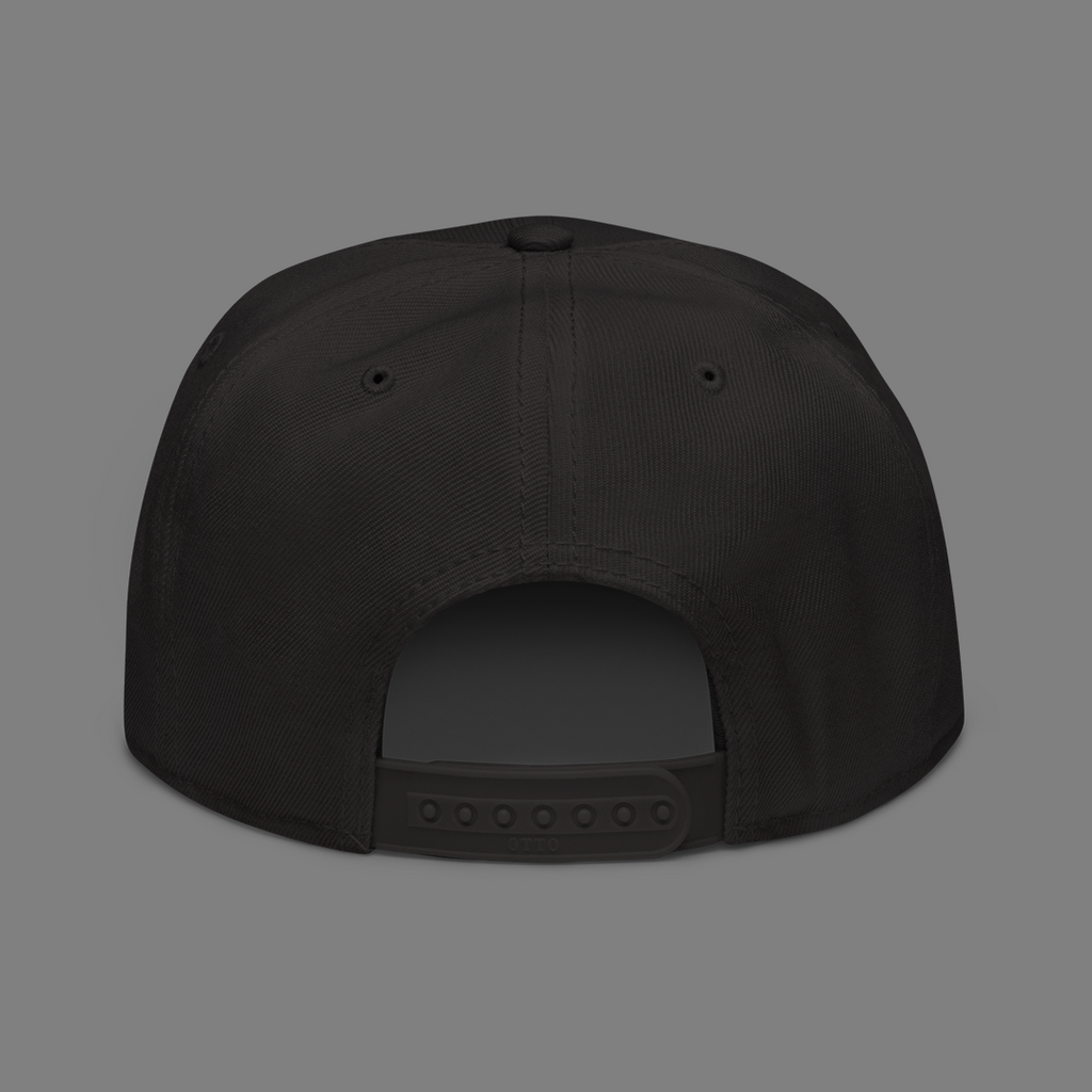 amebe Snapback Hat