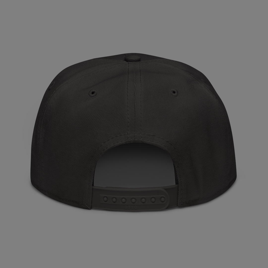 amebe Snapback Hat